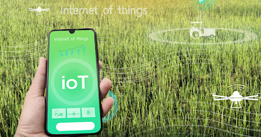 Smart Services Illustration